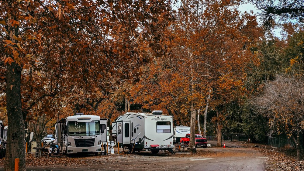 A wide gravel road running between RV sites under autumn trees